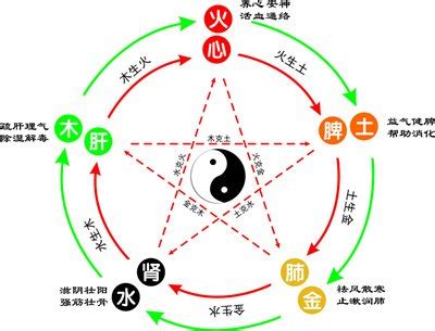 李五行|李字的五行属性